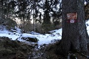 76 Dal sent. 502 passo sul sent. 503 per scendere a Cornalba